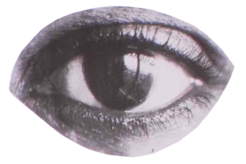 Eyes
